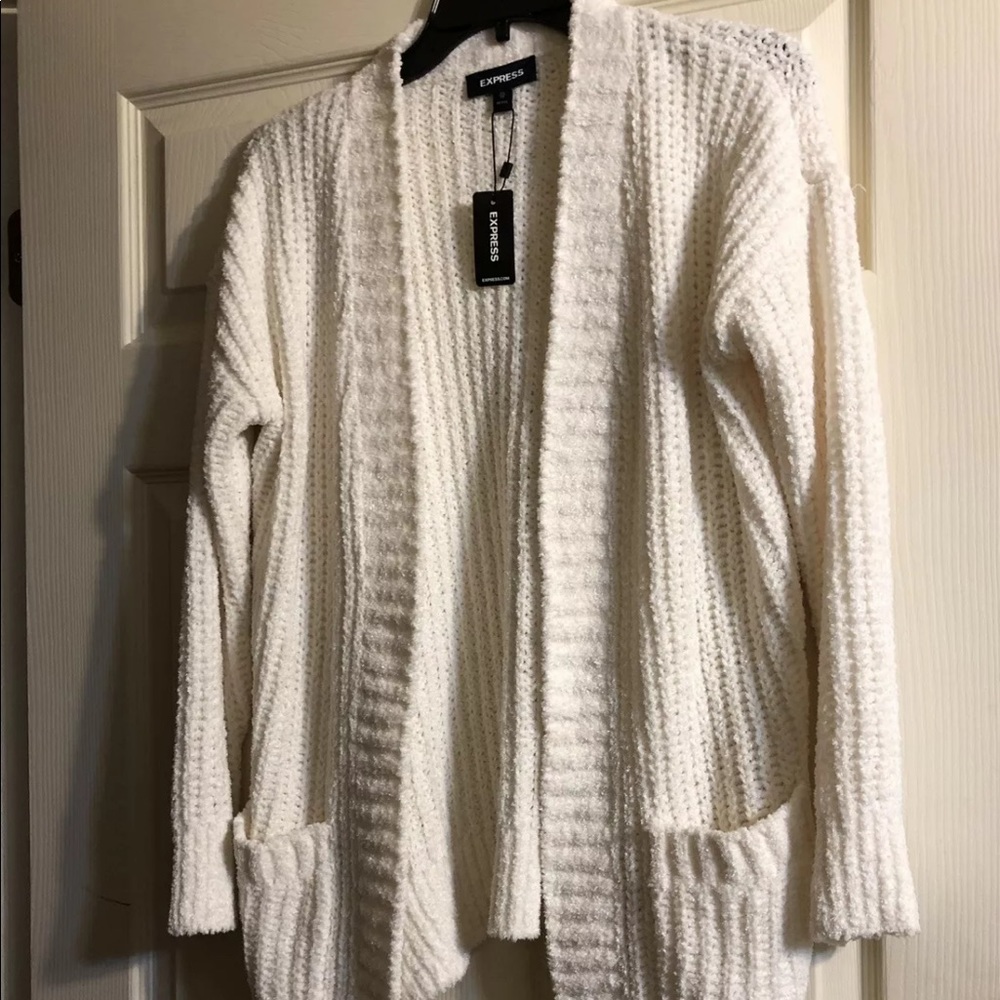 Express Chenille Sweater XS Petite NWT